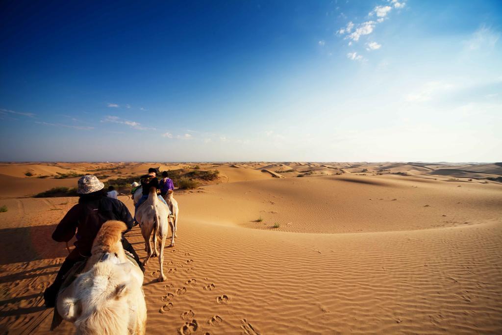 Golden Gobi Hostel & Tours Ulánbátar Exteriér fotografie